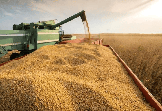 日本J2联赛_攻守易型了!中国又走了一步好棋日本J2联赛,出手签下3万吨大单,太罕见