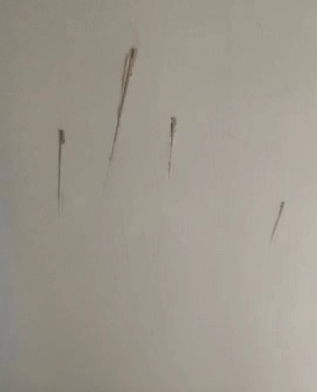 克罗地亚足球联赛
_陕西一护士被同居男友杀害克罗地亚足球联赛
,日记称长久遭受暴力威胁,家属希望追加虐待罪名,最新进展