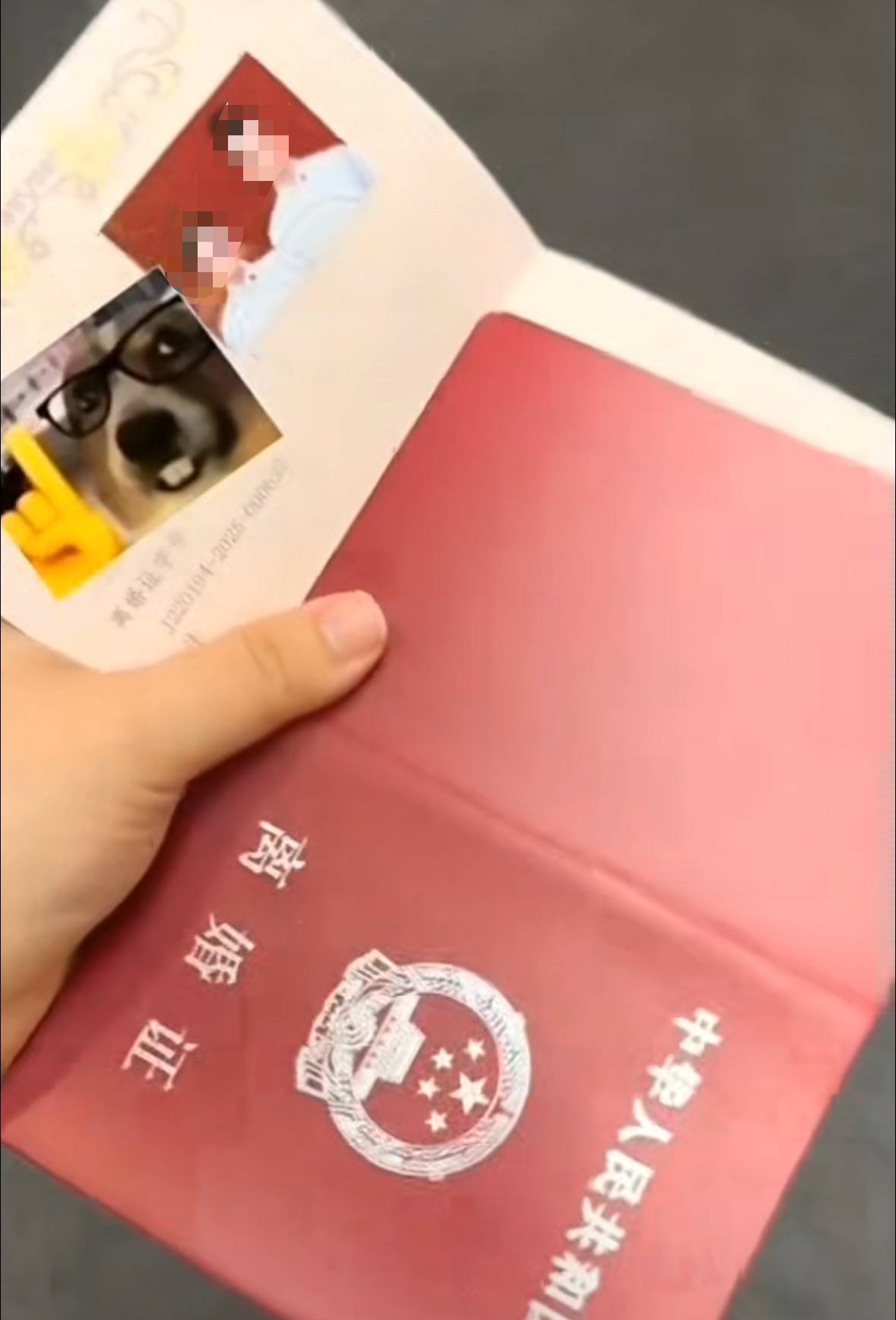 皇冠皇冠代理平台_结婚证发成离婚证！网友调侃“第一次见合照的离婚证”皇冠皇冠代理平台，长春一民政局：发错了，已道歉