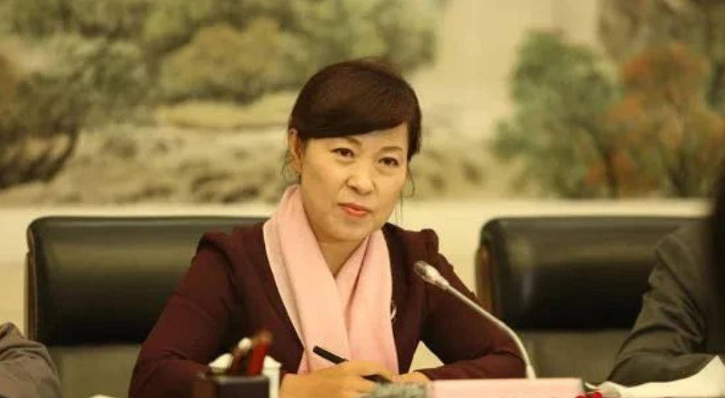 AC米兰vs克雷莫内塞
_“换装主席”王莉霞的堕落:从光鲜人设到腐败深渊