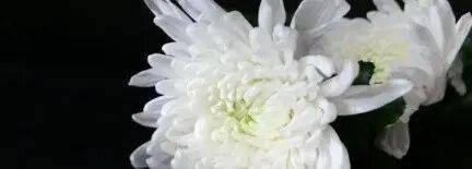 柏雷素尔vs横滨水手_乌军士兵乔装成俄军柏雷素尔vs横滨水手,与俄士兵寒暄,随后趁其不备将两名俄军枪杀,无人机拍下全过程