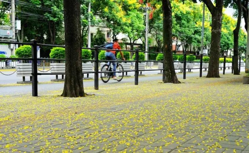 皇冠信用盘开户_上海天气大反转！雨水+冷空气来袭皇冠信用盘开户，气温将骤降...“差不多行了，再热就不礼貌了”