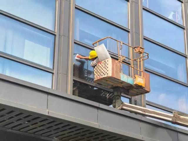 皇冠信用網账号申请_北京一座大厦楼下躺了14只鸟皇冠信用網账号申请，12只已死亡！元凶竟是玻璃