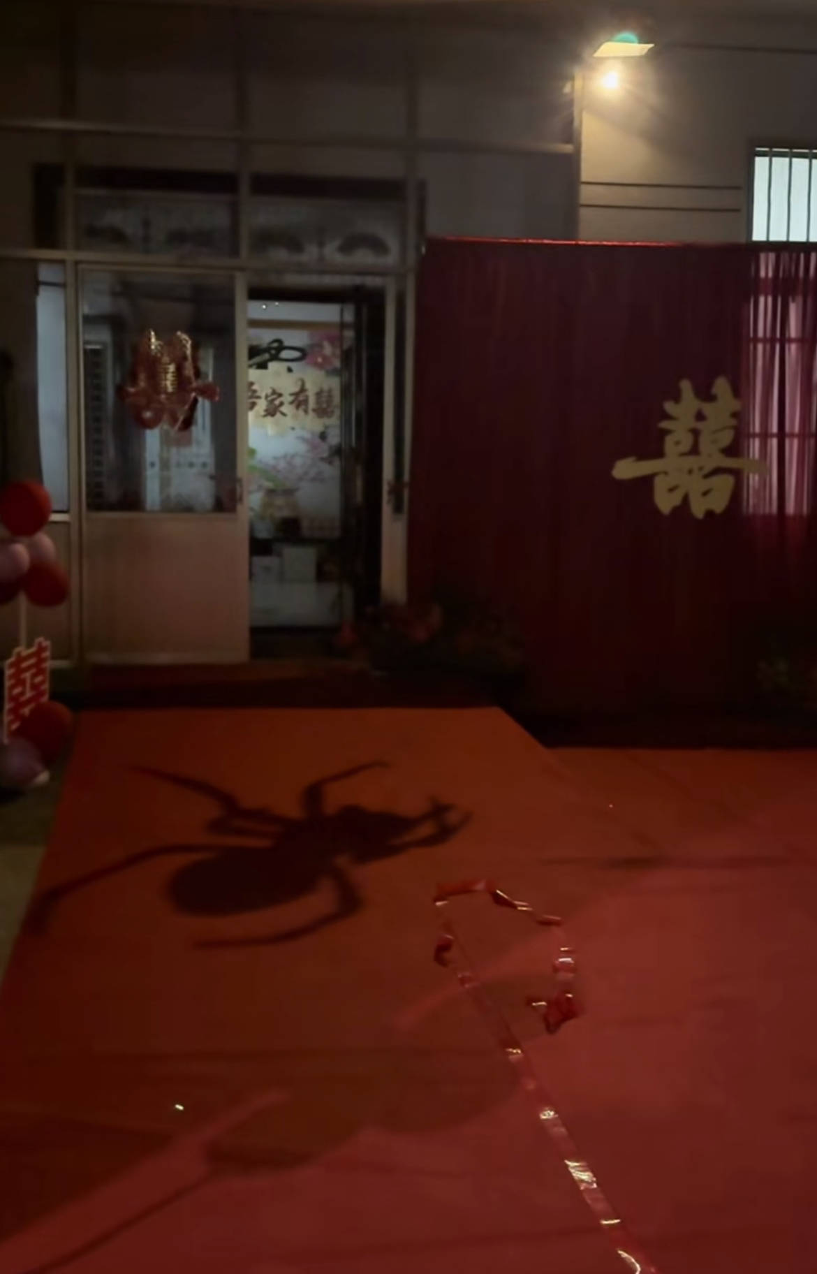 皇冠信用盘代理登1
_山东一新娘家凌晨出现巨大蜘蛛的倒影皇冠信用盘代理登1
，拍摄者：蜘蛛爬在灯泡上，网友：这才是喜结连理