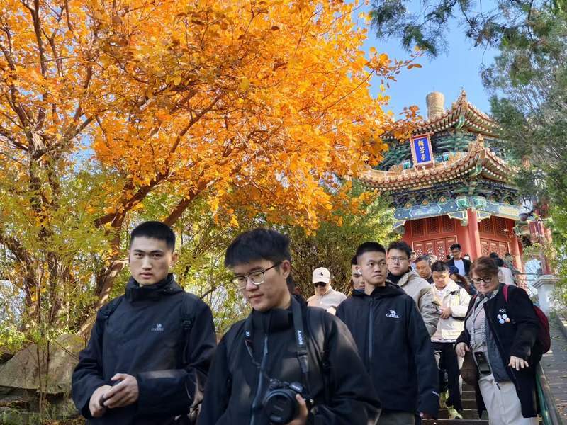 皇冠信用网出租足球
_景山公园迎来彩叶最佳观赏期皇冠信用网出租足球
，推荐路线来了