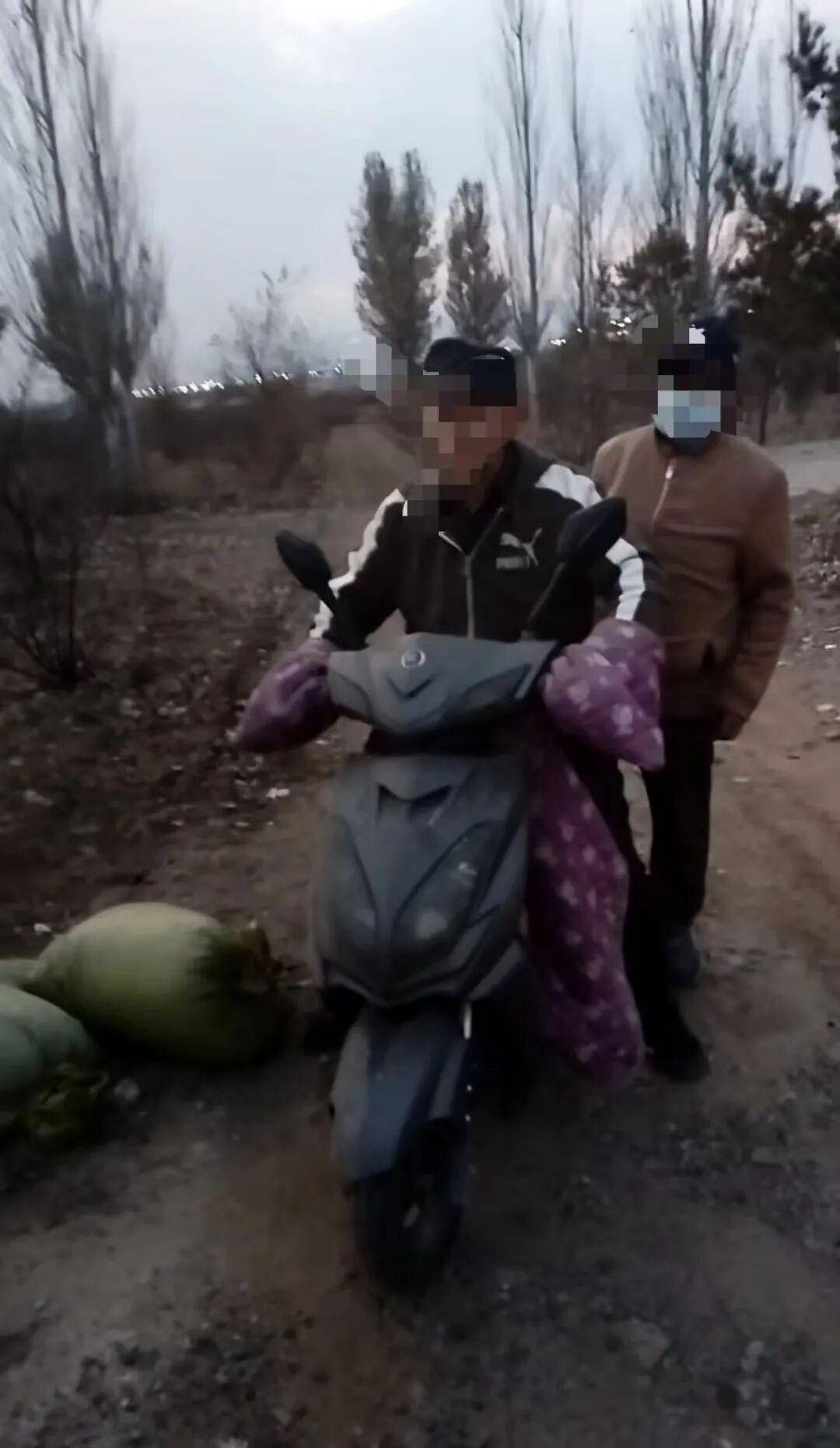 皇冠信用网
_百亩向日葵遭村民哄抢皇冠信用网
，损失50万元！警方已行拘4人