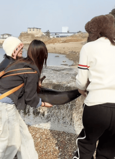 皇冠信用盘登3代理
_女大学生在大连海边拍摄素材皇冠信用盘登3代理
,却意外发现已死亡的它