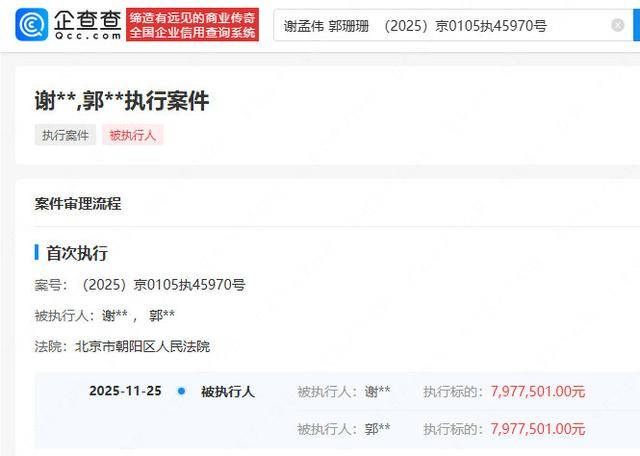 篮球
_“嘎子”谢孟伟夫妇再被执行797万篮球
，此前被执行超1400万
