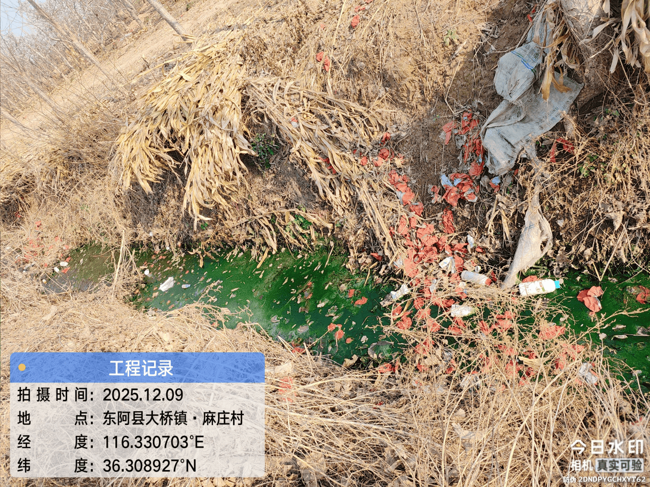 皇冠信用網注册开户_东阿县：多个村庄“垃圾围村” 县农村农业局回复称 已全部整治清理