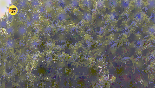 皇冠信用网代理申请_小到中雪皇冠信用网代理申请,局地大雪、暴雪!刚刚,西安发布暴雪预警!