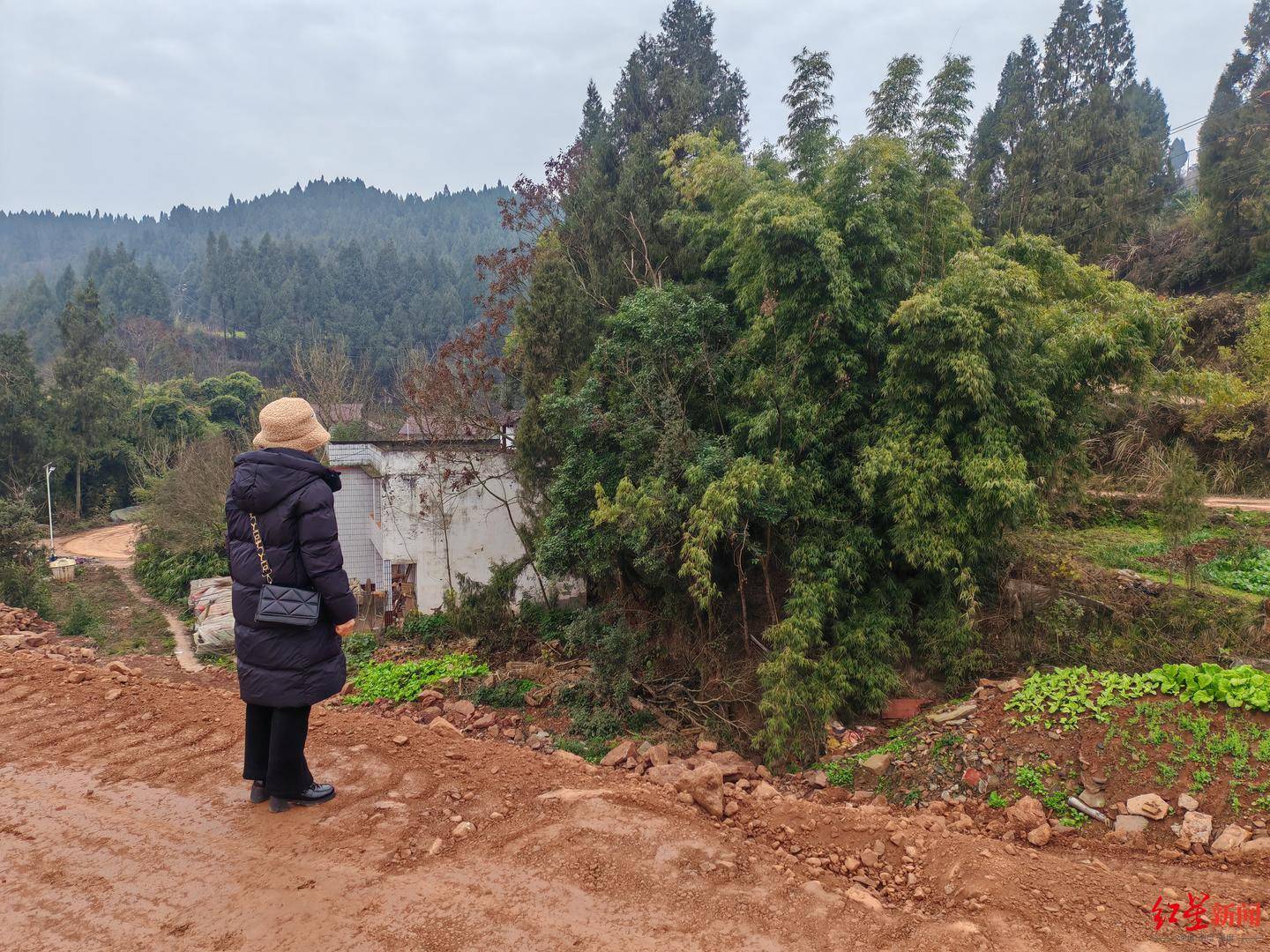 皇冠代理返水
_南充一村庄村民房屋因建高速路拆迁皇冠代理返水
,至今未找到新宅基地建房 官方回应