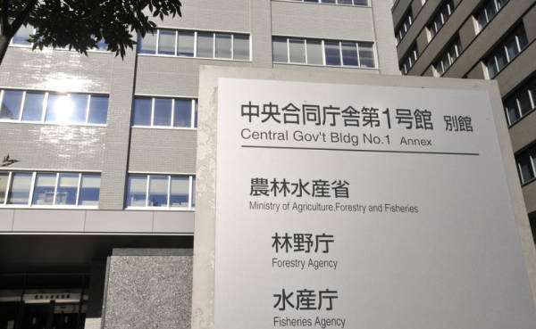 皇冠信用网代理出租_日方释放被捕中国船员皇冠信用网代理出租，外交部：正协助安全返回